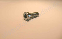 Schraube für BLITZ-Vergaser, M 8 x 25, Inbus, flach
