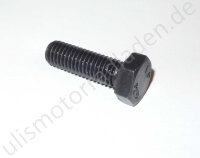 Schraube für Rahmenheck für BMW R50/5-R100,...
