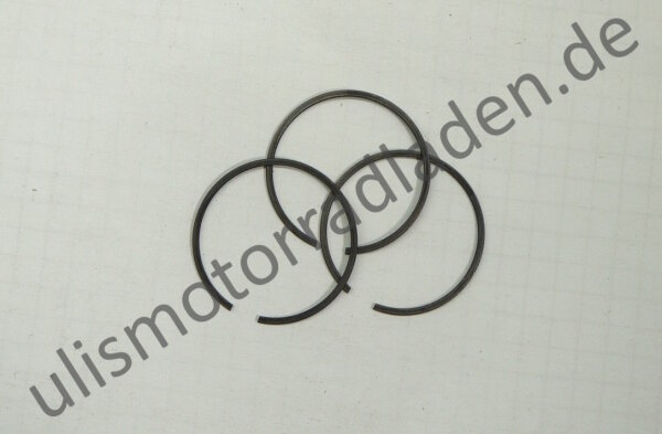Gabel Lamellenring für BMW R50/5-R100 bis Baujahr 09/1980
