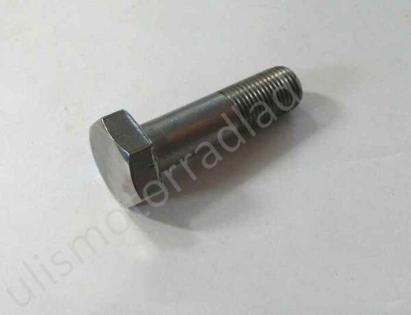 Federbeinhalteschraube für BMW R26 und R27, hinten, links