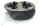 Zylinderkopf für BMW R50-R60/2, R51/3-R67/3, NEU, komplett einbaufertig, rechts
