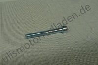 Schraube für Drehzahlmessergetriebe für BMW...