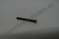 Bremsbehälterschraube für BMW R80R/R100R, R80GS...