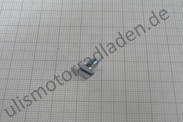 Schraube M 4 x  6, Zylinderkopf-Schlitz