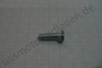 Schraube M 6 x 20, 6-Kant