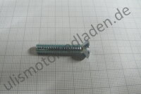 Schraube Lima-Deckel R27, M 6 x 30, Linsensenkkopf