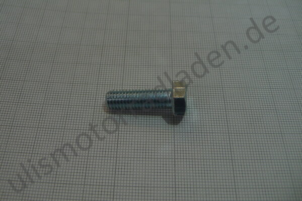 Schraube M 8 x 25, 6-Kant
