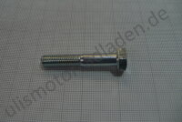 Schraube M 8 x 45, 6-Kant mit Schaft