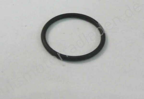 Dichtring Bremsschlüssel für BMW R80-R100 ab Sep 1989