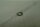 Federring A10