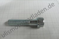 Schraube M10 x 45, Zylinderkopf-Inbus
