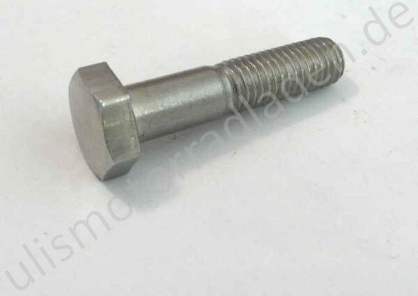 Federbeinhalteschraube für BMW R50/5-R100RS, hinten, oben
