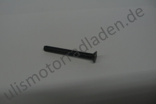 Bremsbeh&auml;lterschraube f&uuml;r BMW R80R/R100R, R80GS Basic u. R80GS/R100GS ab Baujahr 09/1990, kurz