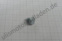Gabelölablaßschraube für BMW R65, R80 ab...