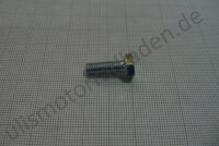 Schraube für Lagerschild 1-Zylinder und Limadeckel...