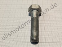 Federbeinhalteschraube für BMW R50-R69S, hinten, links