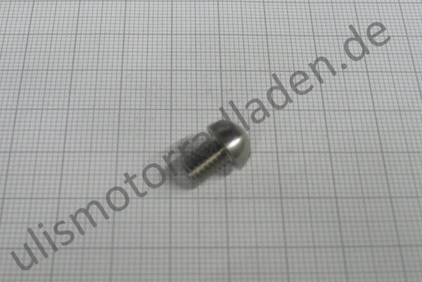 Gabelölablaßschraube für BMW R51/2-R68, Halbrundkopf, Schlitz