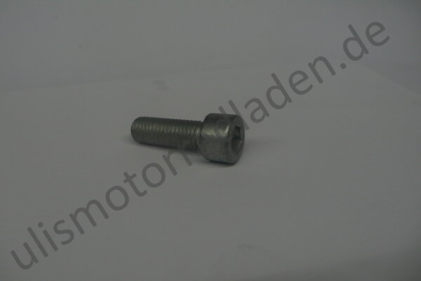 Besfestigungsschraube M10x30 Inbus für Bremssattel ab Baujahr 09/1981