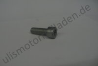 Besfestigungsschraube M10x30 Inbus für Bremssattel...