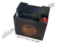 Batterie 12V 30Ah, für BMW R50/5-R100, Y60-N30L(MF)...